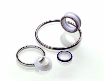 PTFE-Dichtung, Frühling zog Teflondichtung, Teflongleitringdichtung, feststehende Dichtung PTFE an